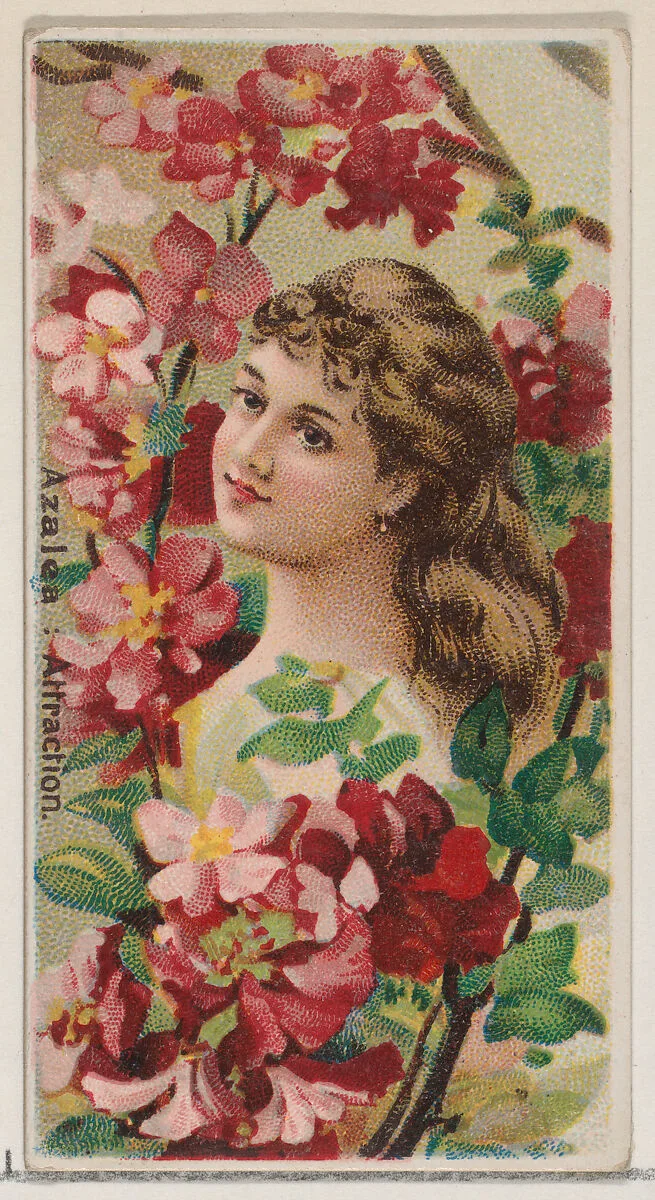 Azalea: Attraction, from the series Floral Beauties and Language of Flowers (N75) for Duke brand cigarettes — Donaldson Brothers|American Tobacco Company