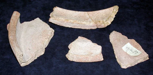 Pan fragments