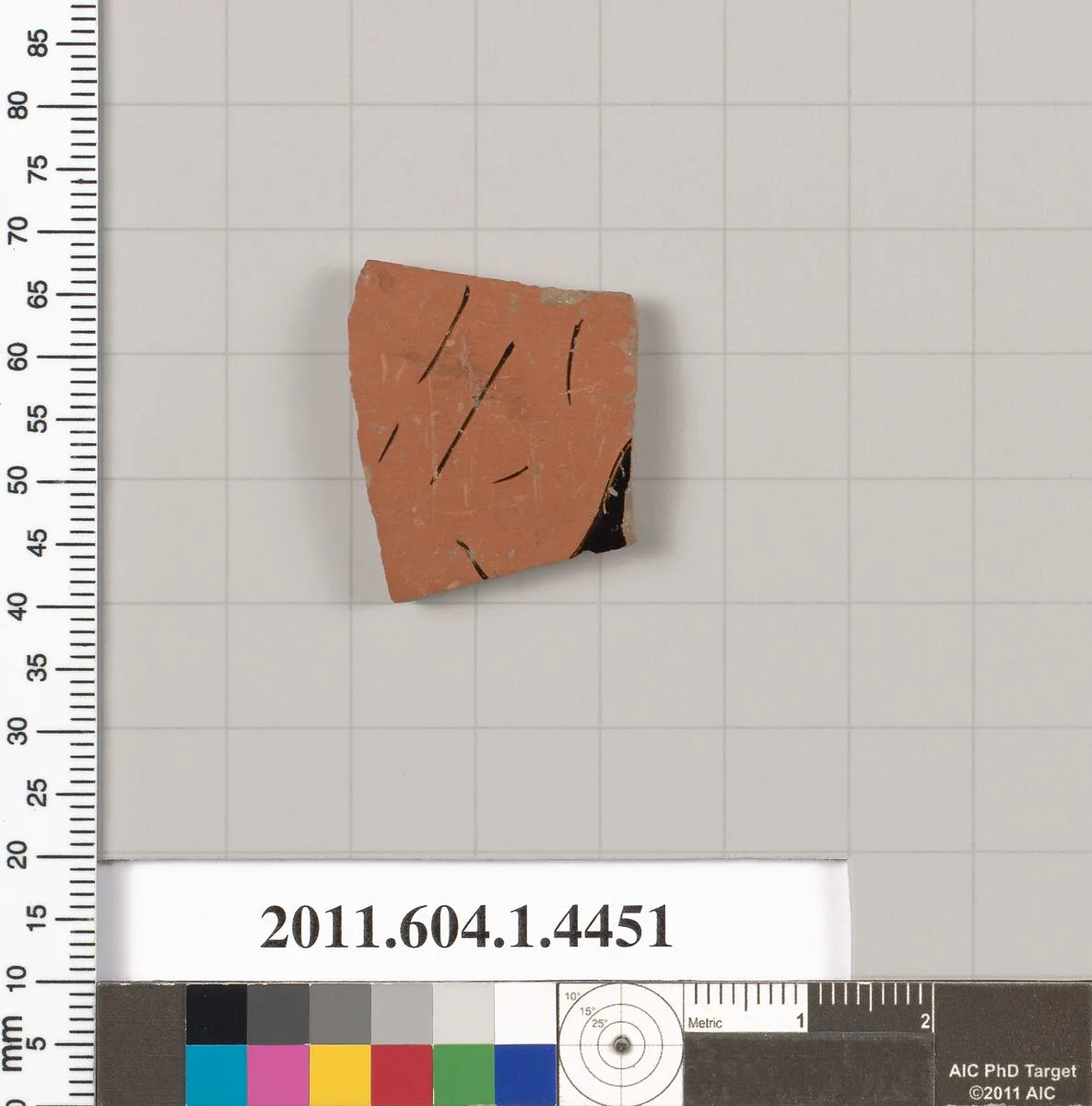 Terracotta fragment of a kylix (drinking cup) — Unknown