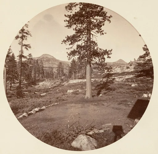 [Yosemite National Park, California]
