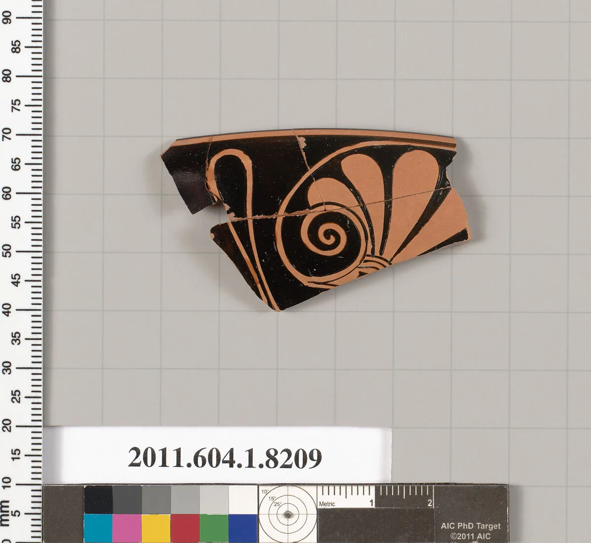 Terracotta fragment of a kylix (drinking cup) — Unknown