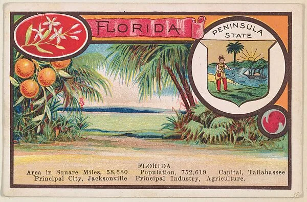Florida postcard from the Cards of States series (D22), issued by the Cushman Bread Company — Cushman Bread Company