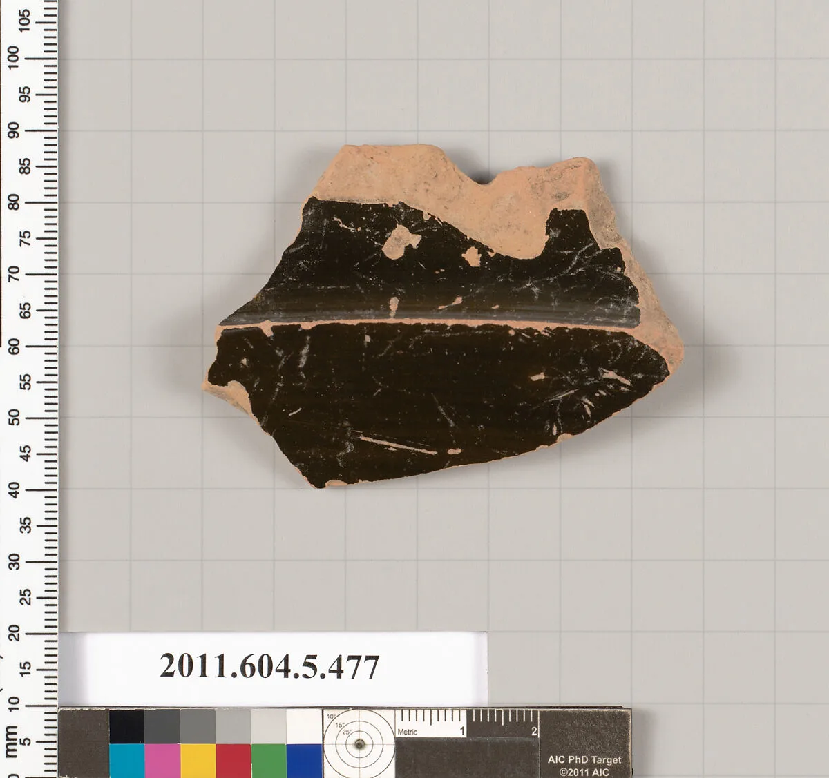 Terracotta fragment of a kylix (drinking cup) — Unknown