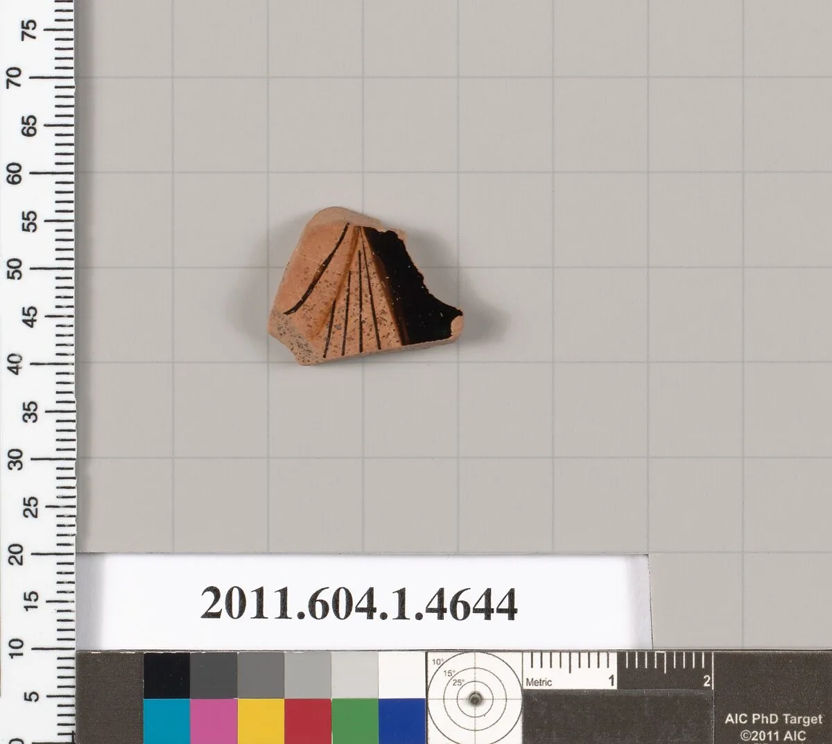 Terracotta fragment of a kylix (drinking cup) — Unknown