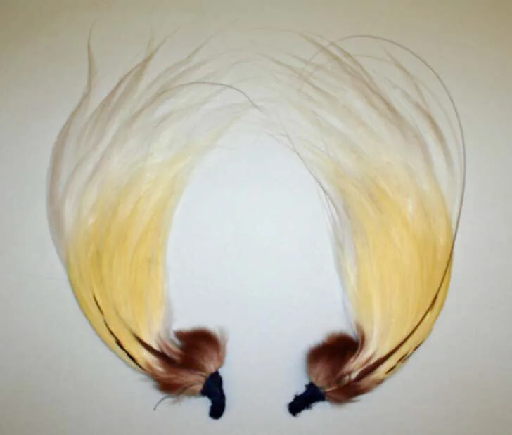 Aigrette — Unknown