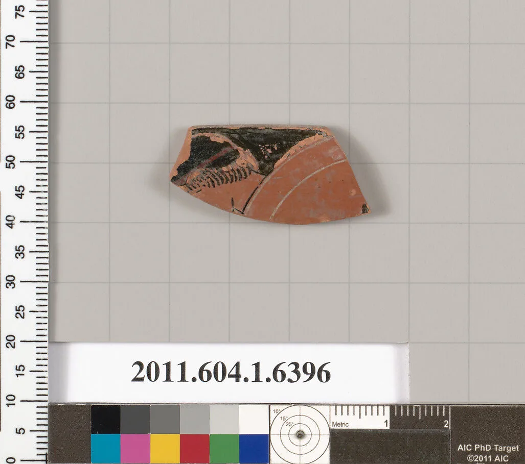 Terracotta rim fragment of a kylix (drinking cup) — Unknown