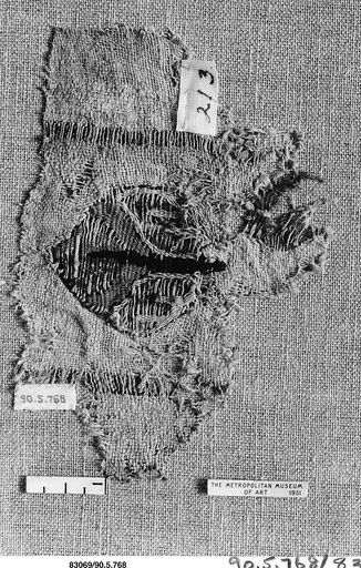 Textile Fragment
