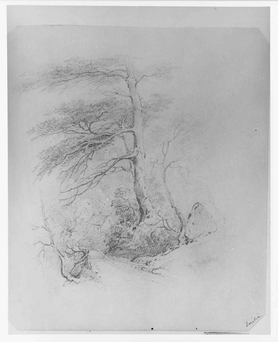 Landscape (from McGuire Scrapbook) — James Smillie