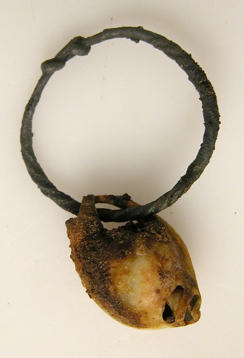 Ring with Shell — Unknown