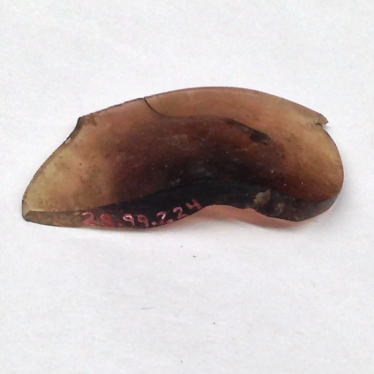 Fragment — Unknown