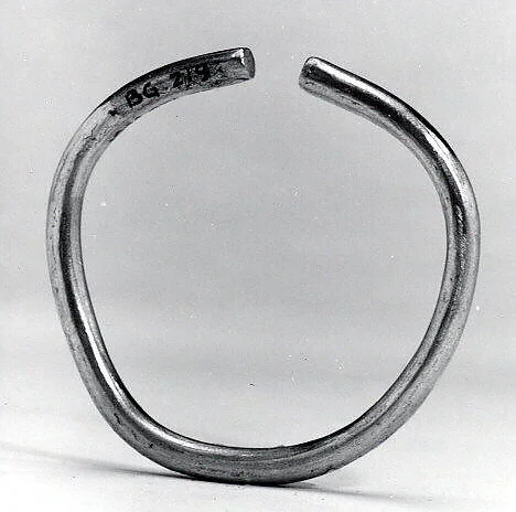 Nose Ornament