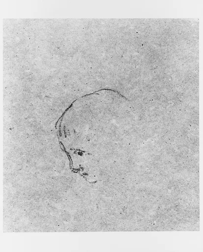 Head of a Boy