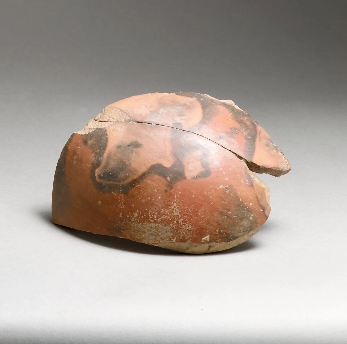Vase fragment — Unknown