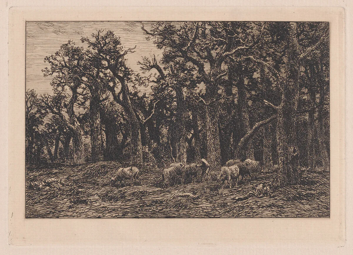 Woman driving a herd of cows — Charles Jacque