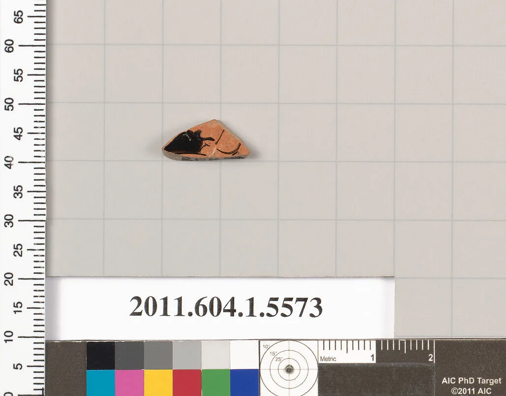 Terracotta fragment of a kylix (drinking cup) — Unknown