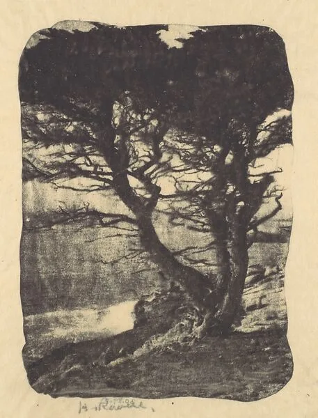Cypress, Pebble Beach, California — Henry Ravell