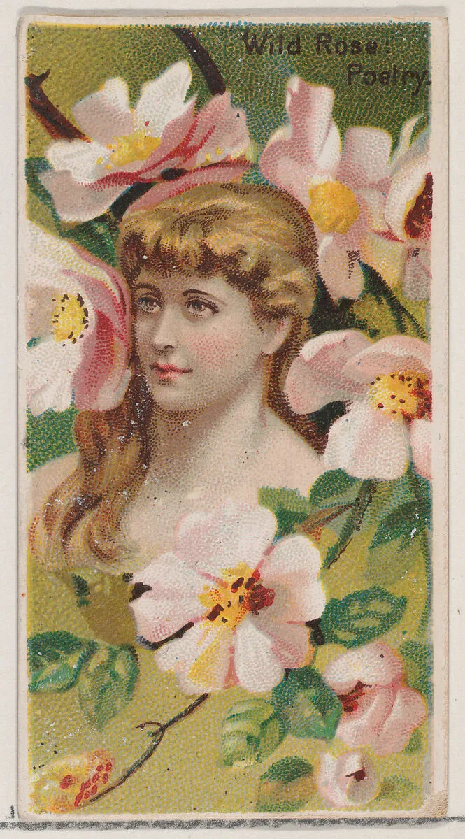 Wild Rose: Poetry, from the series Floral Beauties and Language of Flowers (N75) for Duke brand cigarettes — Donaldson Brothers|American Tobacco Company