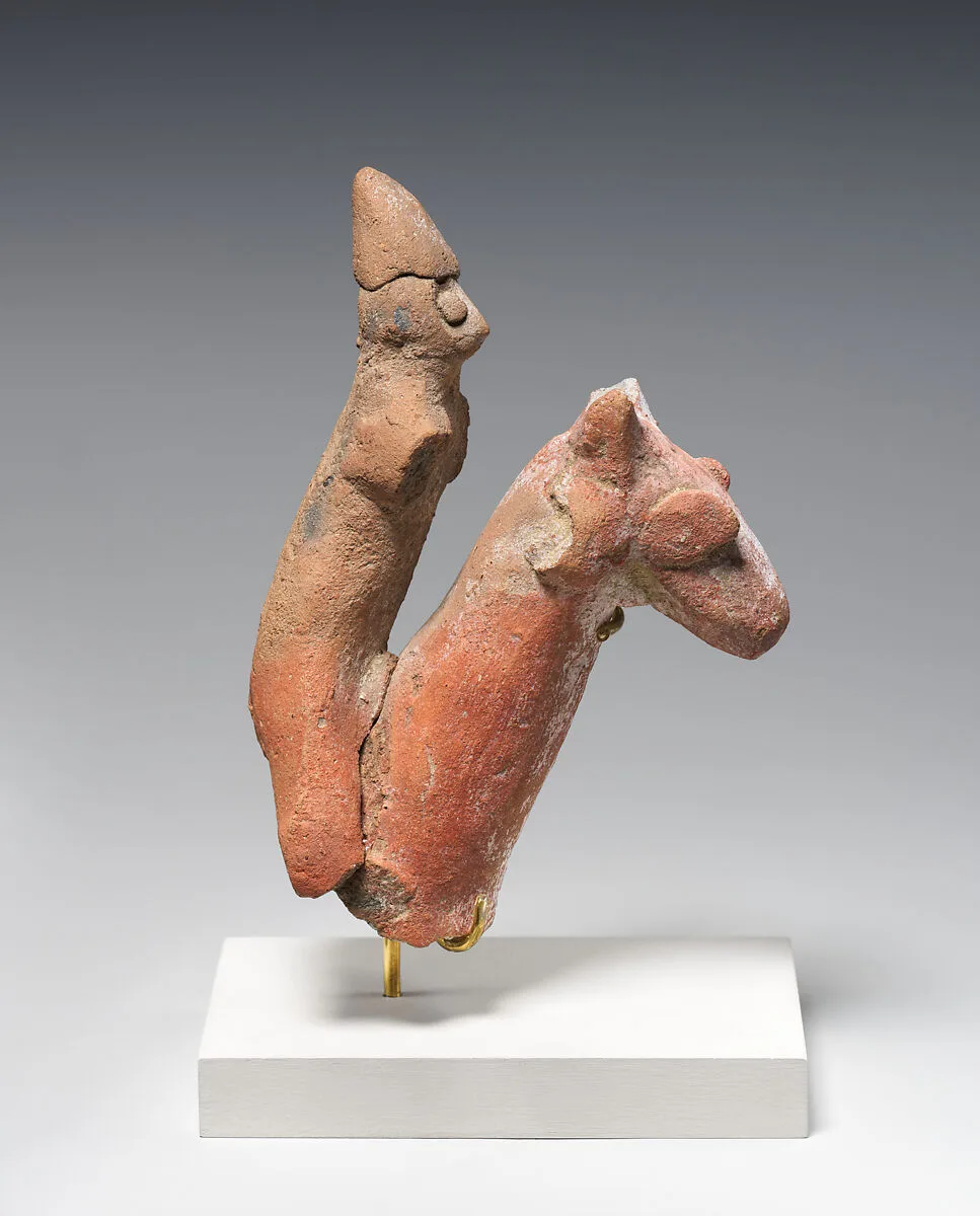 Camel Rider — Unknown