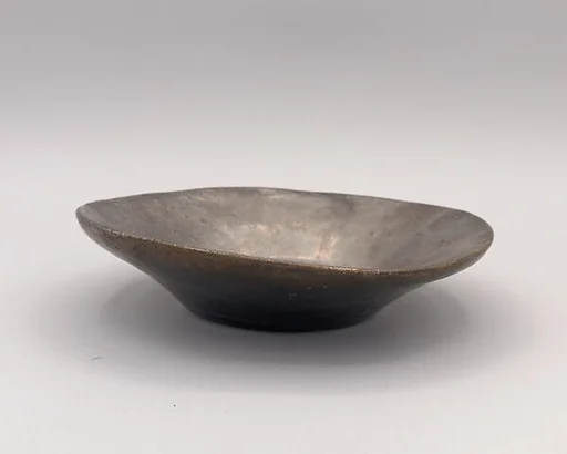 Dish