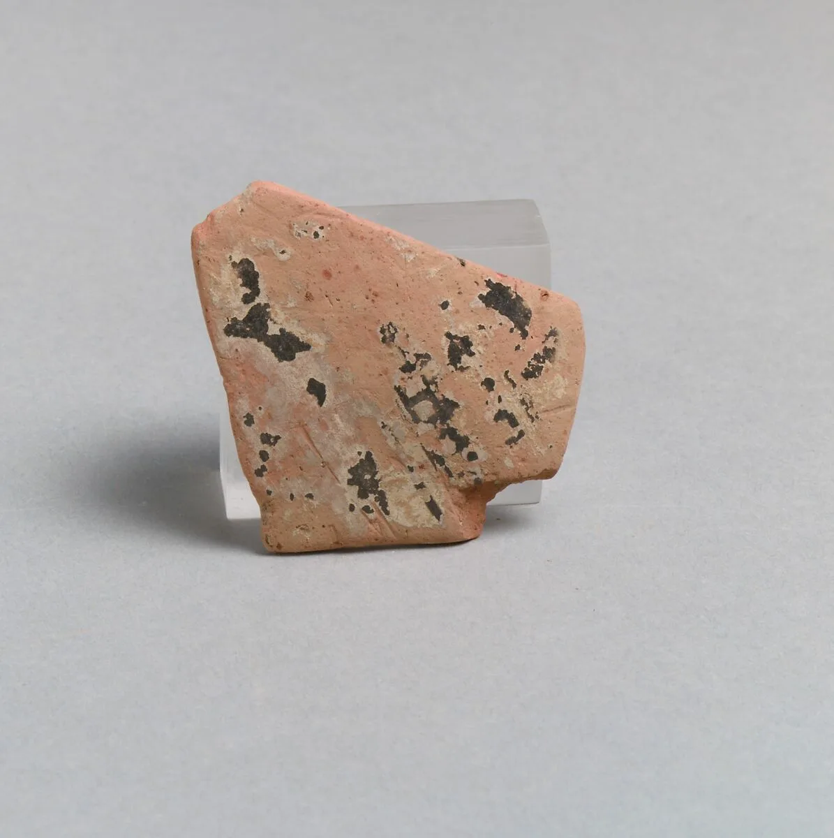 Vase fragment — Unknown
