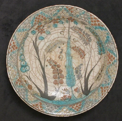Dish