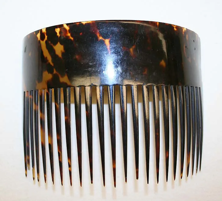Comb — Unknown
