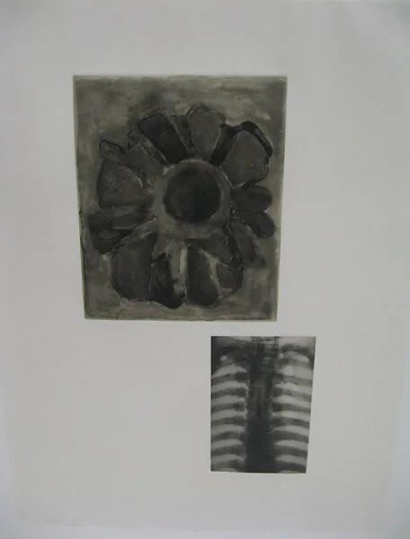 Fourteen Etchings 4, from the ¦Fourteen Etchings¦ portfolio — Terry Winters|Universal Limited Art Editions, Inc.|Hitoshi Kido|Keith Brintzenhofe|John Lund