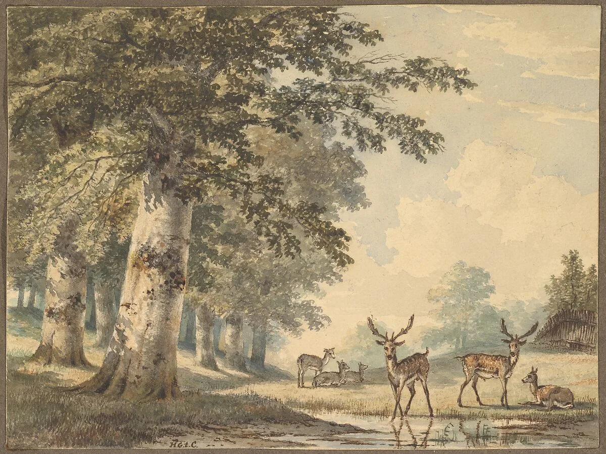 Deer under Beech Trees in Winter — Hendrik Gerrit ten Cate