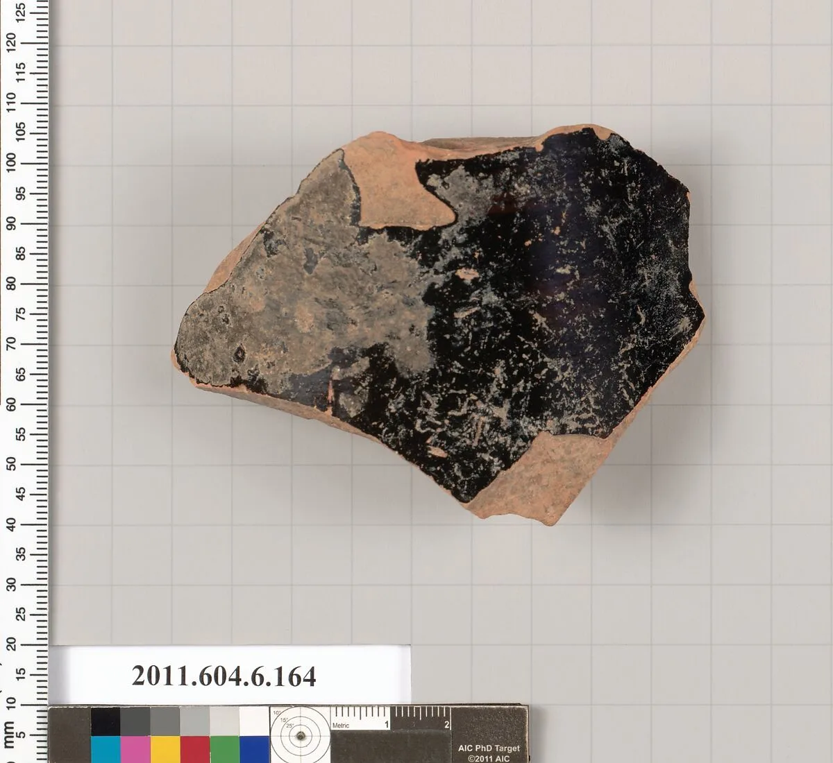 Terracotta fragment of a closed shape — Unknown