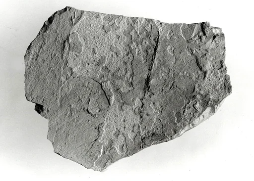 Wall casing