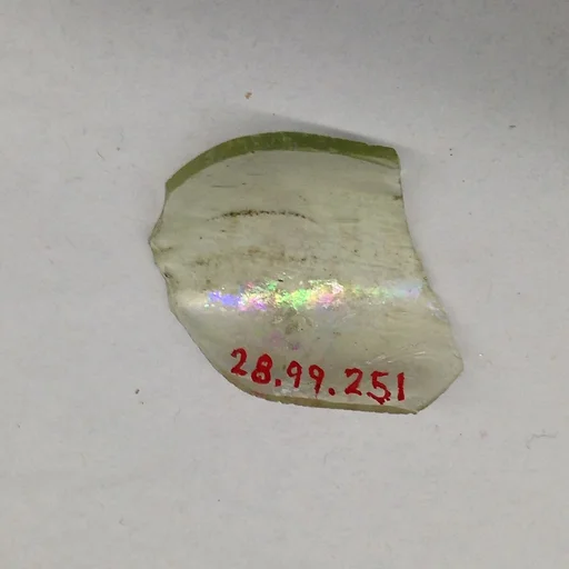 Fragment