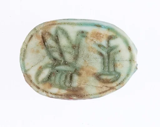 Scarab