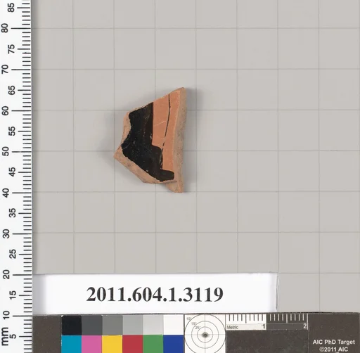 Terracotta fragment of a kylix (drinking cup)