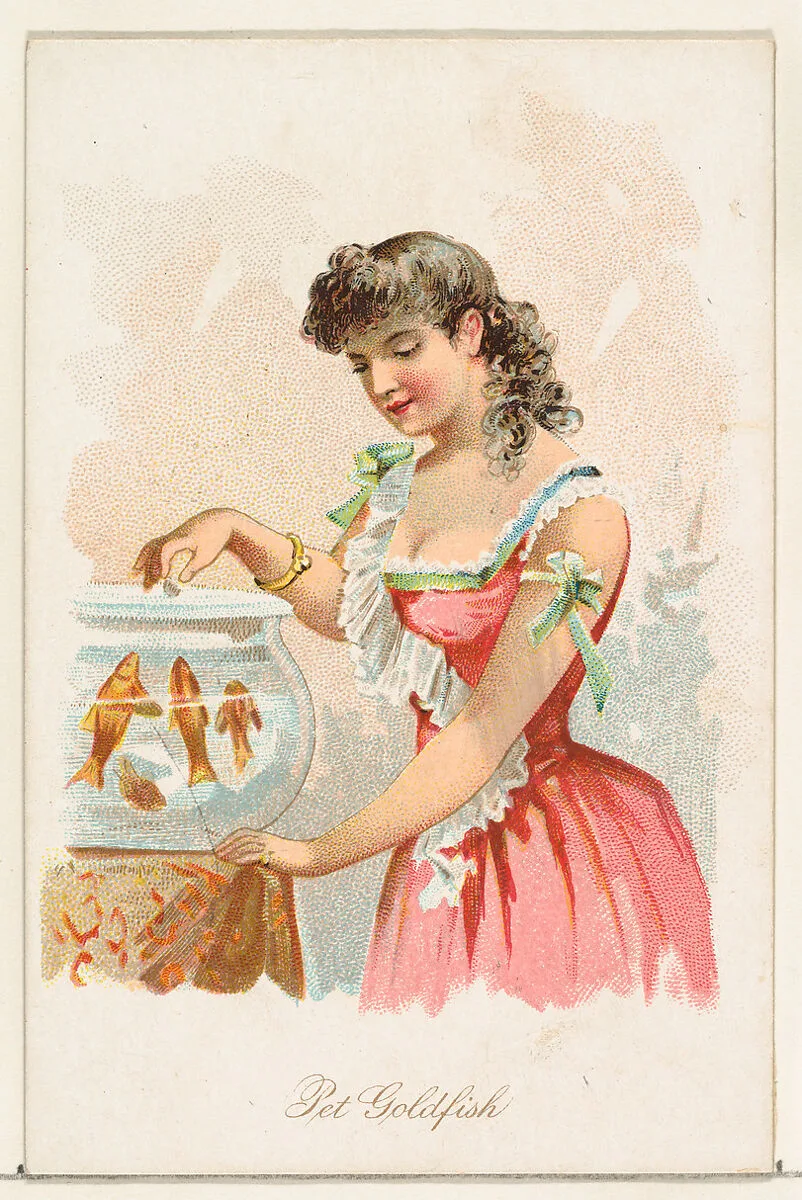 Pet Goldfish, from the Household Pets series (N194) issued by Wm. S. Kimball & Co. — American Tobacco Company|William S. Kimball & Company|Julius Bien & Co.
