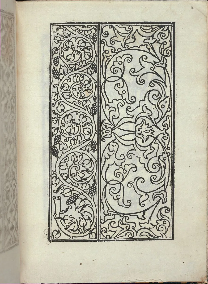 Libro quarto. De rechami per elquale se impara in diuersi modi lordine e il modo de recamare...Opera noua, page 16 (recto) — Alessandro Paganino