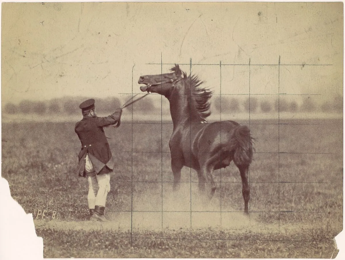 Horse — Ottomar Anschütz