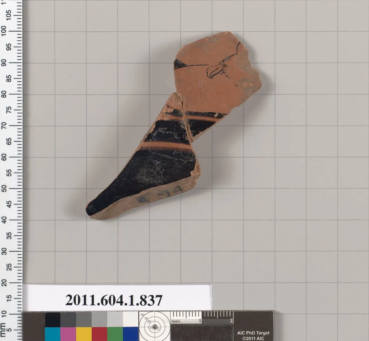 Terracotta fragment of a kylix (drinking cup) — Unknown