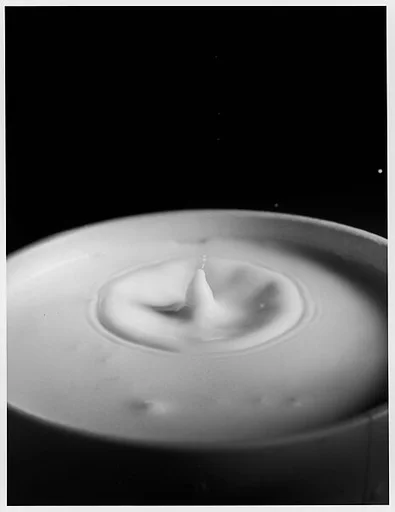 [Milk Drop Falling Into Reservoir of Milk (4/9)]