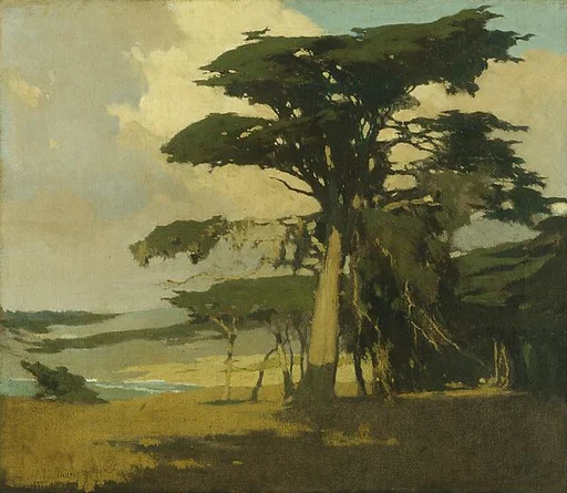 Afternoon among the Cypress