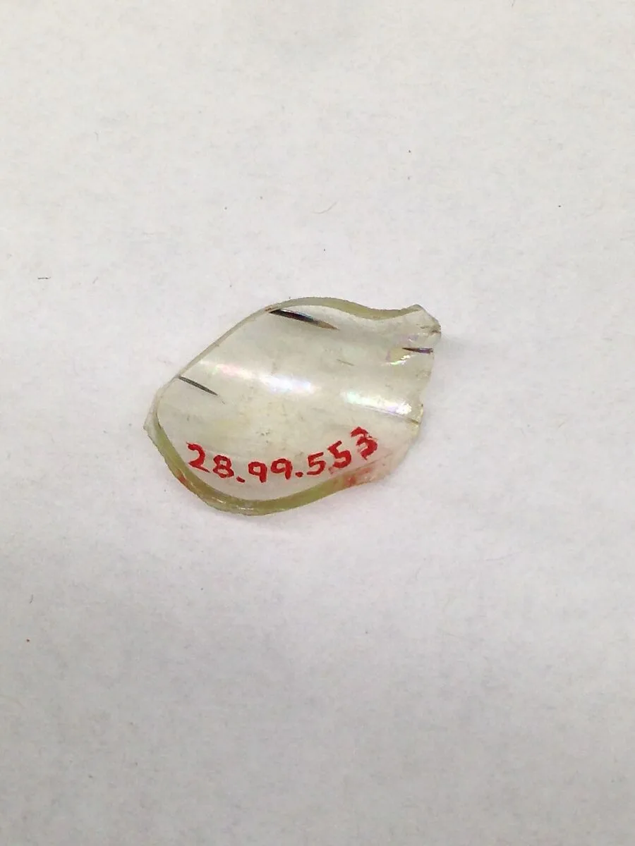 Fragment — Unknown