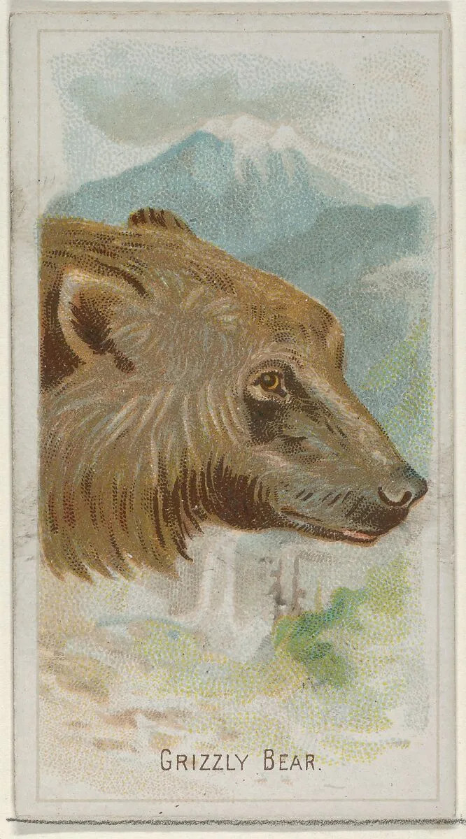 Grizzly Bear, from the Wild Animals of the World series (N25) for Allen & Ginter Cigarettes — Allen & Ginter|George S. Harris & Sons