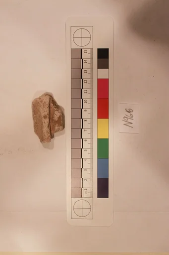 Stucco Fragment