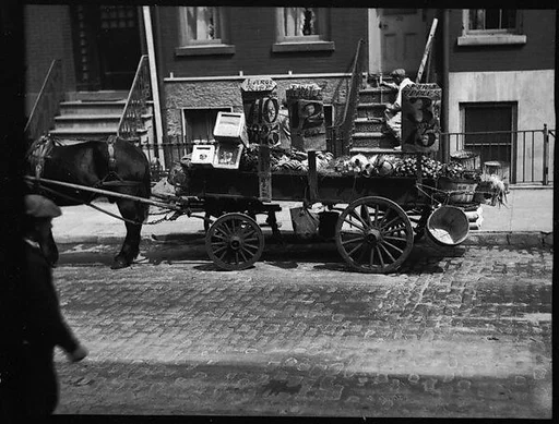 [Horse-Drawn Fruit Vendor's Wagon, New York City]