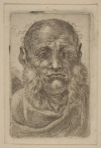 Head of Old Man