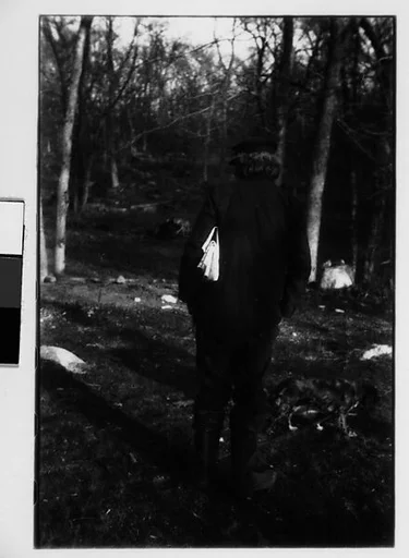 [Four 35mm Film Frames: Elderly Man in Woods Carrying Newspaper with Dog on Leash]