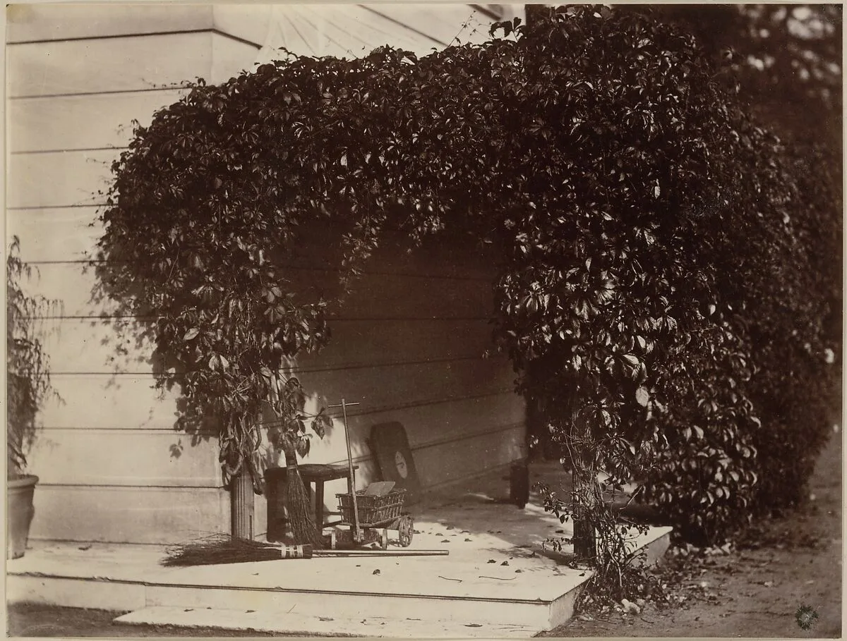 American Creeper, Blake House — Alfred Capel Cure