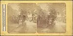 View at Bonchurch, Isle of Wight — Unknown