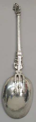 Spoon and fork combination