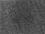 Woven Panel Fragment