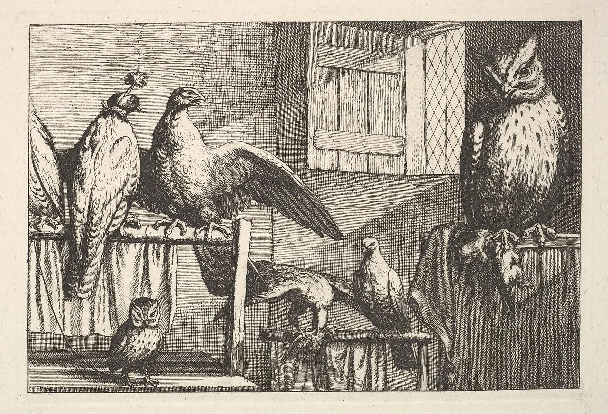 Hawks and owls — Francis Barlow|Wenceslaus Hollar